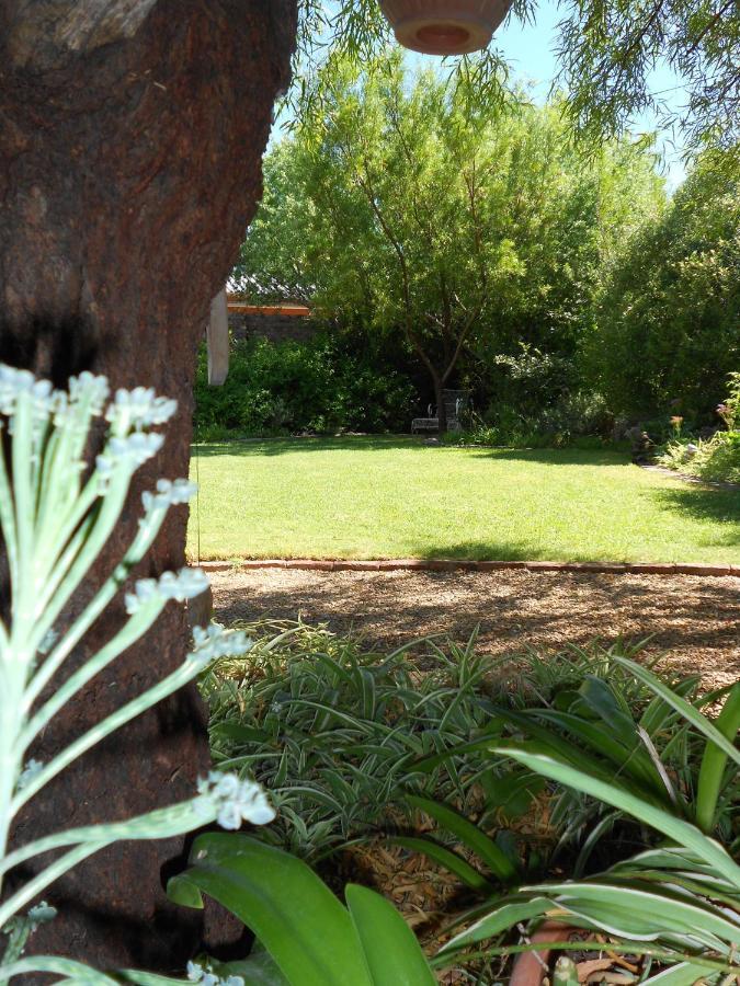 Pane Vivente Garden Cottage Beaufort West Eksteriør bilde