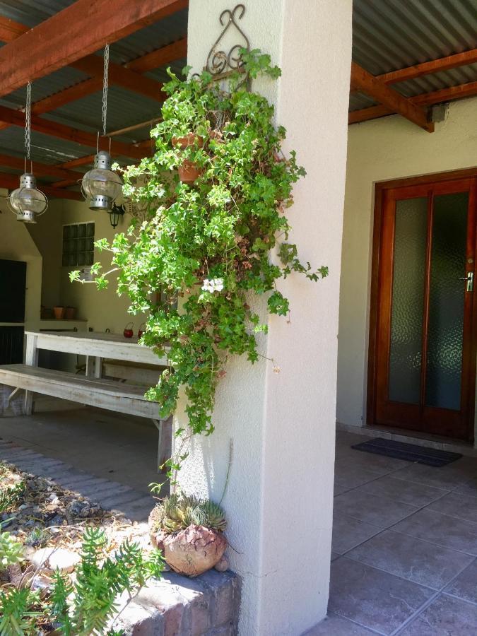 Pane Vivente Garden Cottage Beaufort West Eksteriør bilde